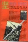 中国新民主主义革命史长编  1938-1941  坚持抗战  苦撑待变 封面