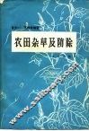 农田杂草及防除 封面