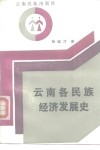 云南各民族经济发展史 封面