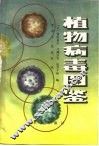 植物病毒图鉴 封面