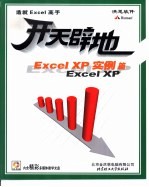 开天辟地学电脑 Excel XP实例篇 封面