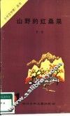山野的红桑果 封面