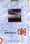 变革中的文化潮  纪实文学作品集 封面