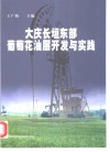 大庆长垣东部葡萄花油层开发与实践 封面