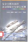 复杂小断块油田滚动勘探开发储层预测 封面