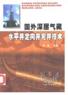 国外深层气藏水平井定向井完井技术 封面