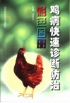 鸡病快速诊断防治彩色图册 封面