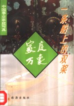 一条船上的双桨 封面