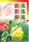 爱花·赏花·养花 封面