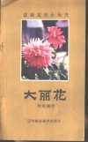 大丽花 封面