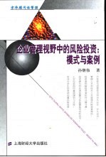 企业管理视野中的风险投资  模式与案例 封面