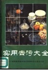 实用去污大全  最简单和最有效的家庭及办公室去污法 封面