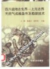四川盆地古生界  上元古界天然气成藏条件及勘探技术 封面