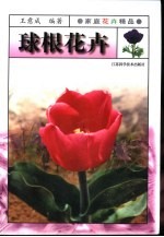 祥气爽爽祥云翔  迎春吉庆联 封面