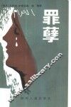 罪孽 封面
