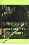 苏联资本主义复辟纪事  赫鲁晓夫和勃列日涅夫统治下的苏联农业 封面