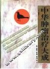 中华肿瘤治疗大成 封面