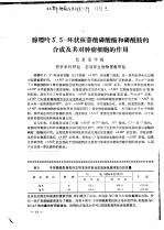 腺嘌呤  3，5-环状核苷酸磷酸酯和磷酰胺的合成及其对肿瘤细胞的作用 封面