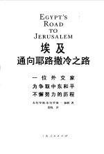 埃及通向耶路撒冷之路  一位外交家为争取中东和平不懈努力的历程 封面