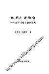 消费心理指南  消费心理与营销策略 封面
