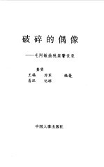 破碎的偶像  毛阿敏偷税案警世录 封面
