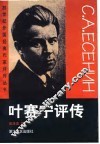 叶赛宁评传 封面