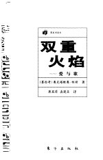 双重火焰  爱与欲 封面