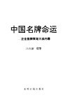 中国名牌命运  企业品牌策划大战内幕  当代中国企业忧思录 封面