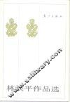 林焕平作品选 封面