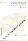 小说家的世界 封面