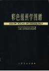 彩色组织学图谱 封面