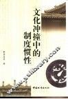文化冲撞中的制度惯性 封面