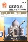 印度的智慧：出世入世浑然一体 封面