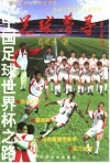 足球梦寻  中国足球世界杯之路 封面