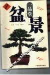 盆景 封面