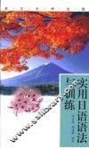 实用日语语法与训练 封面