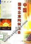 中国国有企业向何处去 封面