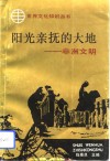 阳光亲抚的大地  非洲文明 电子书封面