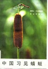 中国习见蜻蜓 封面