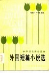 外国短篇小说选 封面