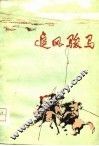 追风骏马 封面