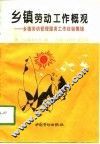 乡镇劳动工作概观  乡镇劳动管理服务工作经验集锦 封面