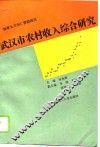 武汉市农村收入综合研究 封面