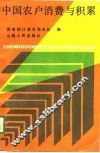 中国农户消费与积累 封面