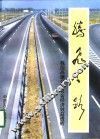 腾飞之路  我国高速公路社会经济效益透析 封面
