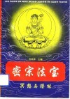密宗法宝  冥想与潜能 封面