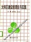大特区建设的理论与实践 封面