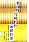 多样性的现代化道路探索  云南多民族地区小康村镇研究 封面