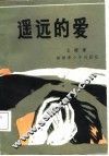 遥远的爱 封面