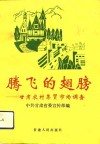 腾飞的翅膀  甘肃农村集贸市场调查 封面